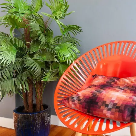 Апартаменти Santa Catarina Charming Duplex